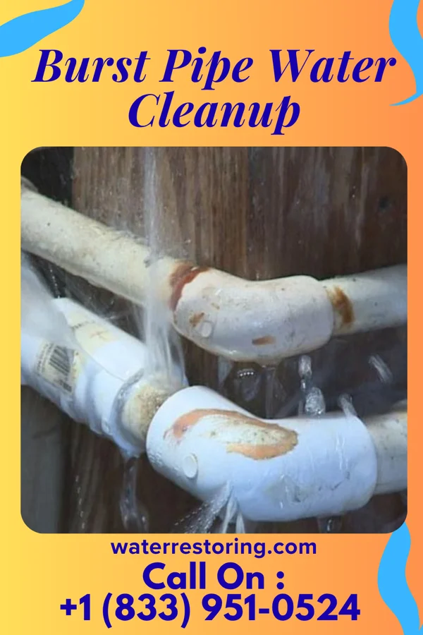 Burst Pipe Water Cleanup in Ringwood, NJ