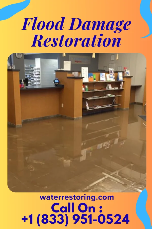 Flood Damage Restoration in Ringwood, NJ