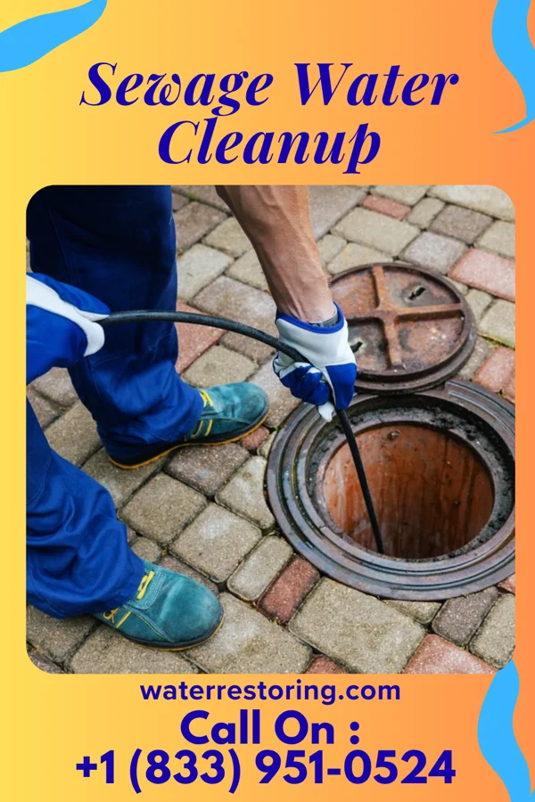 Sewage Water Cleanup in Ringwood, NJ